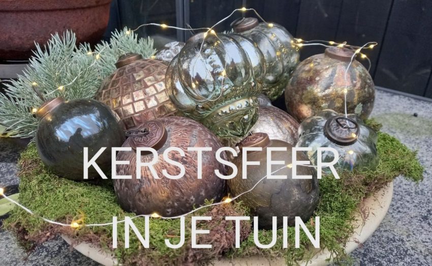 Kerstsfeer in je tuin